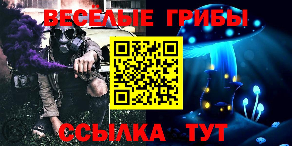 Псилоцибиновые грибы Magic Shrooms  Псилоцибиновые грибы мухоморы  Вход с VPN  Шадринск 