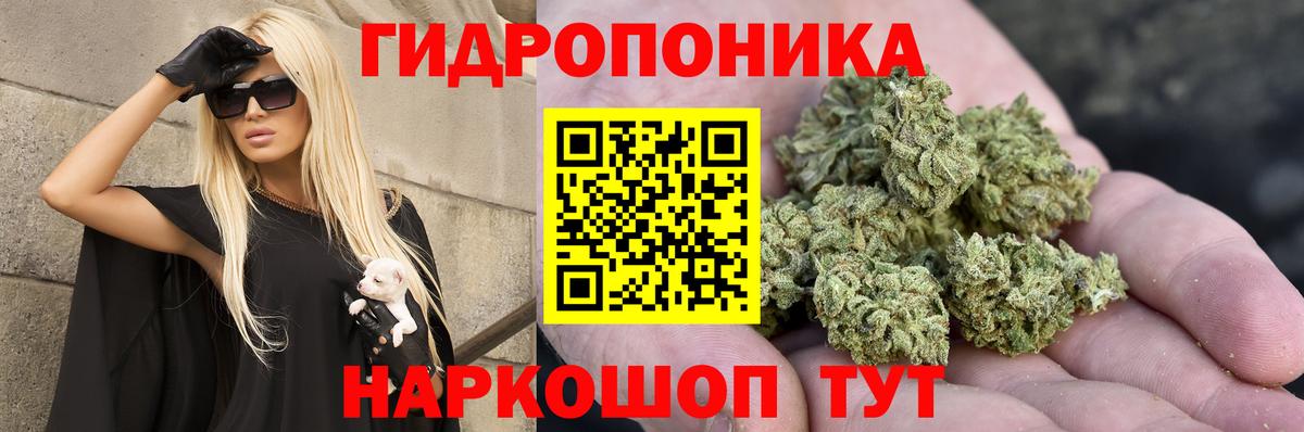 Шадринск  Бошки Шишки OG Kush  Конопля индика  Каннабис AK-47  Вход с VPN 
